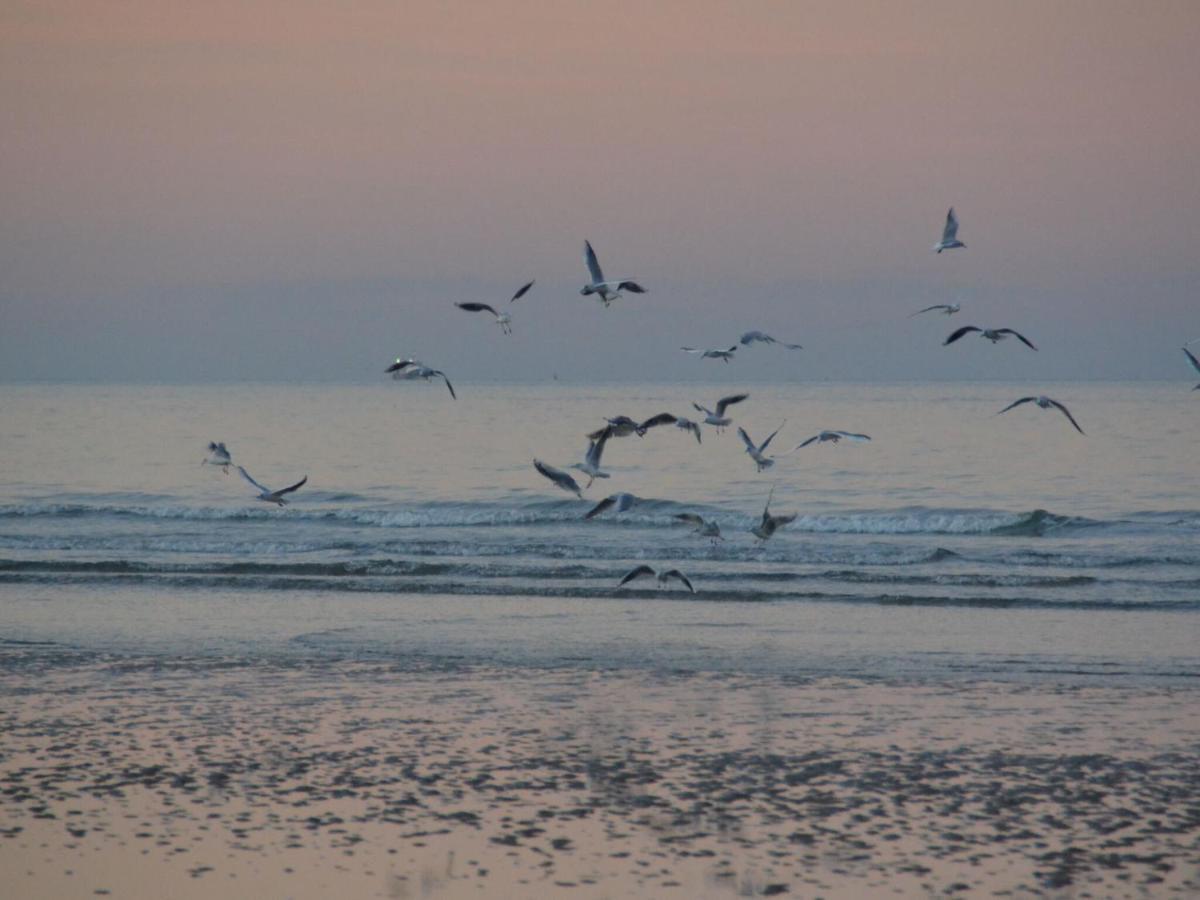 Holiday Home Omaha Beach With Garden Aignerville ภายนอก รูปภาพ